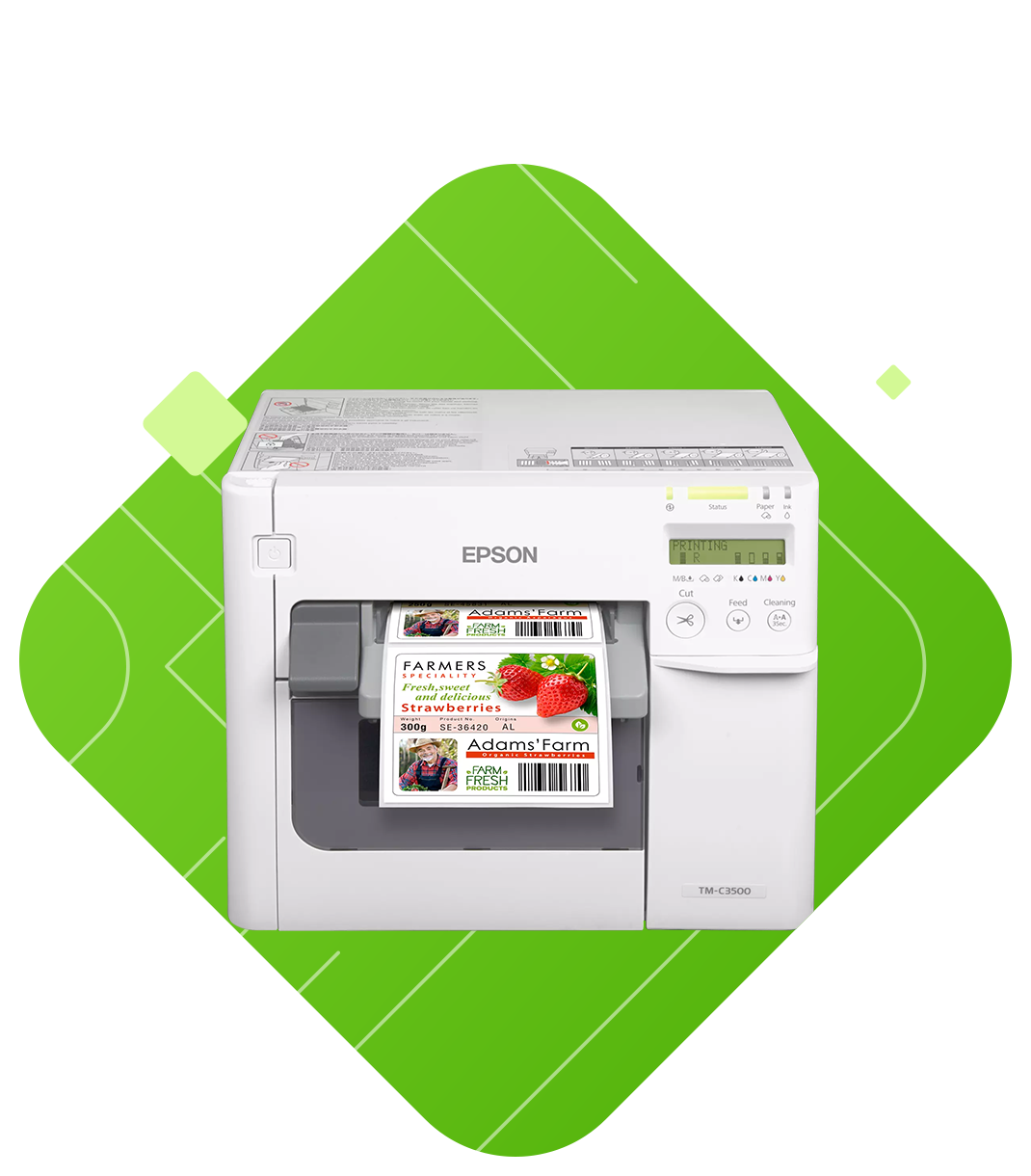 Drukarka kolorowa Epson ColorWorks C3500